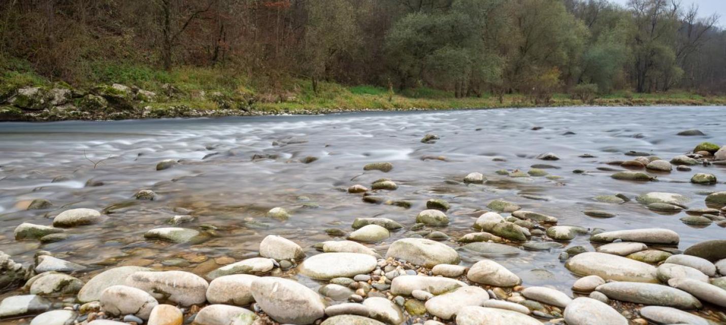 Aare bei Winznau