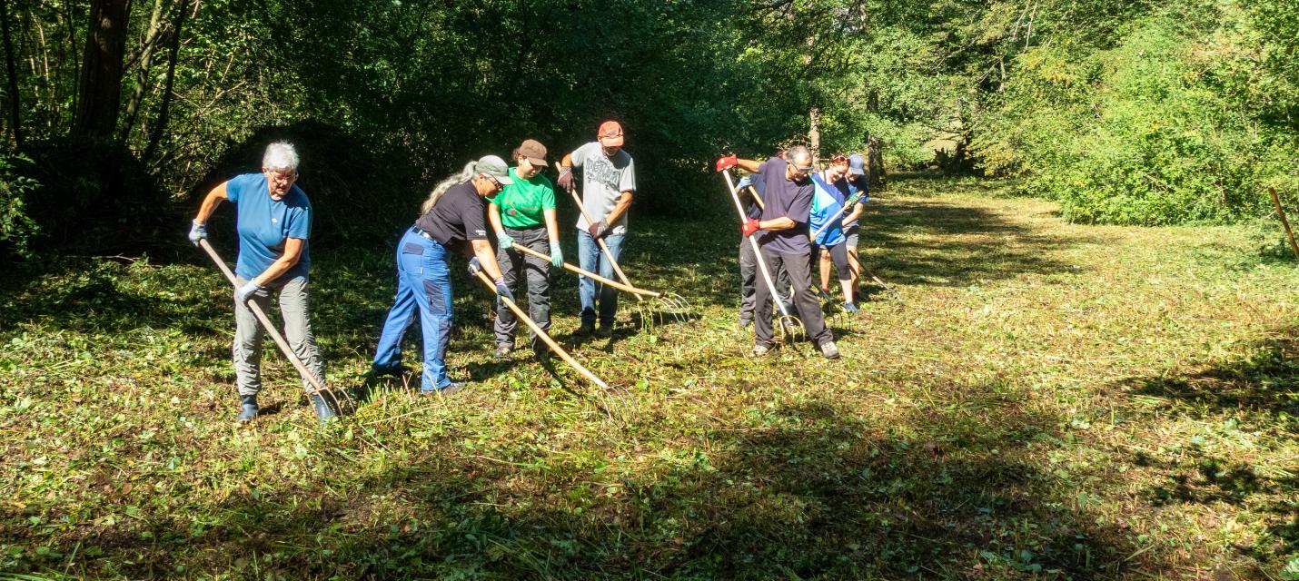 Hauptbild